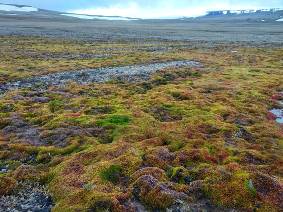 OTL06-24, Day 4,   IMG_20240713_160659 © Unknown photographer - Oceanwide Expeditions.jpg