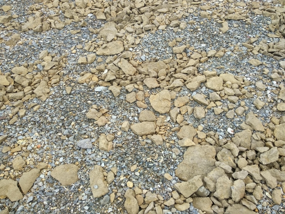 OTL06-24, Day 4,   IMG_20240713_161853 © Unknown photographer - Oceanwide Expeditions.jpg