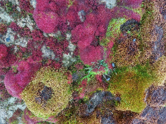 OTL06-24, Day 4,   IMG_20240713_162841 © Unknown photographer - Oceanwide Expeditions.jpg