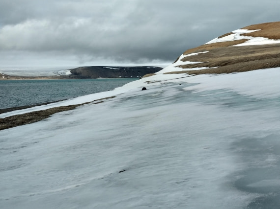 OTL06-24, Day 4,   IMG_20240713_174347 © Unknown photographer - Oceanwide Expeditions.jpg