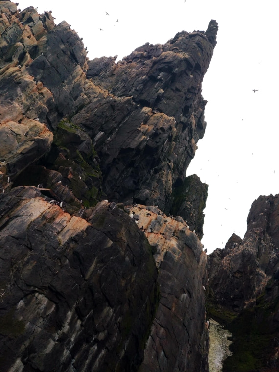 OTL06-24, Day 4,   IMG_20240713_222602 © Unknown photographer - Oceanwide Expeditions.jpg