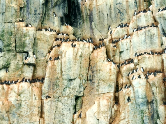 OTL06-24, Day 4,   IMG_20240713_223806 © Unknown photographer - Oceanwide Expeditions.jpg