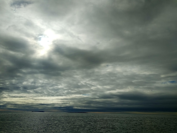 OTL06-24, Day 4,   IMG_20240714_085312 © Unknown photographer - Oceanwide Expeditions.jpg