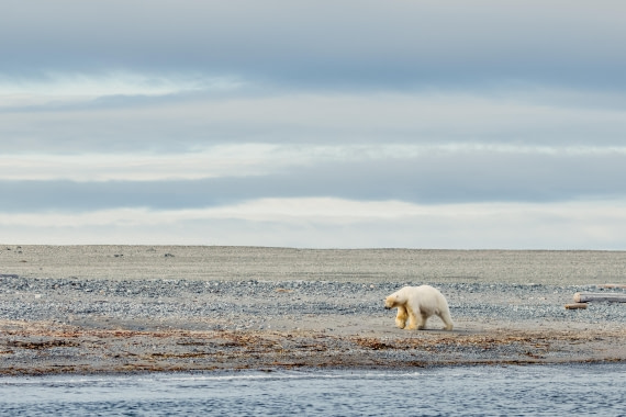 OTL06-24, Day 6,  2B5A1144 © Juan Martin Berenstein - Oceanwide Expeditions.jpg