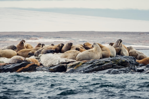 OTL06-24, Day 6,  2B5A1283 © Juan Martin Berenstein - Oceanwide Expeditions.jpg