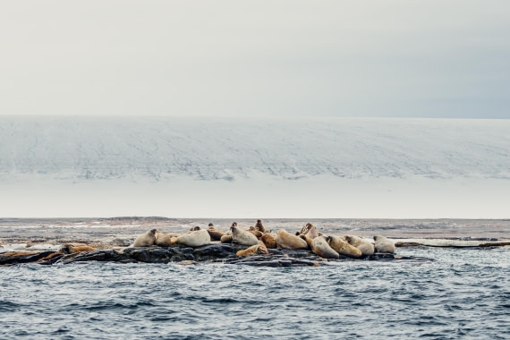 OTL06-24, Day 6,  2B5A1290 © Juan Martin Berenstein - Oceanwide Expeditions.jpg