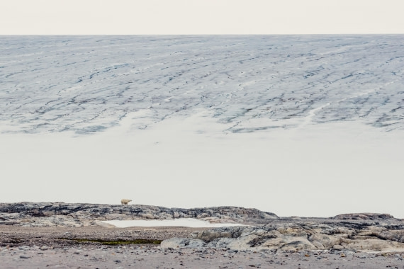 OTL06-24, Day 6,  2B5A1376 © Juan Martin Berenstein - Oceanwide Expeditions.jpg