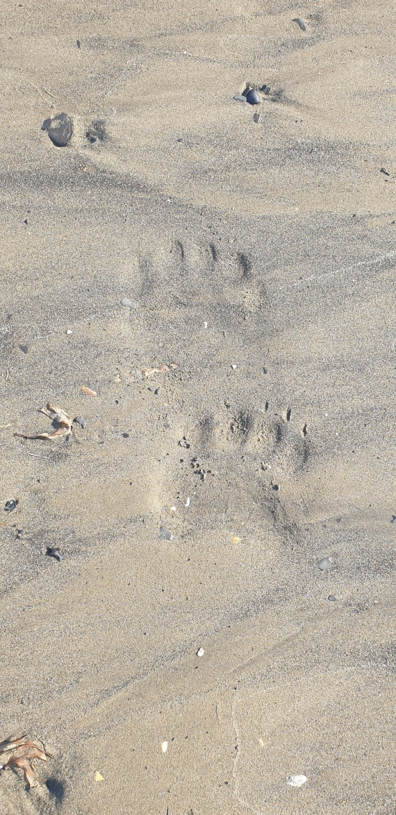 OTL06-24, Day 7,   20240716_095312 © Unknown photographer - Oceanwide Expeditions.jpg