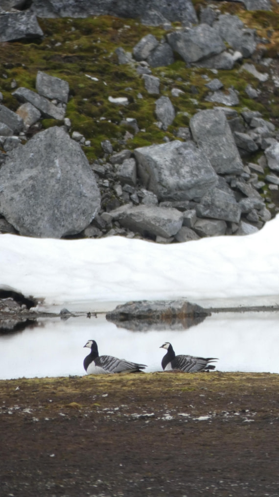 HDS07-24, Day 4, P1050537 © Renno Hokwerda - Oceanwide Expeditions.JPG