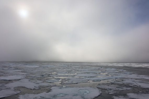 HDS07-24, Day 5, IMG_3503 © Unknown photographer - Oceanwide Expeditions.JPG
