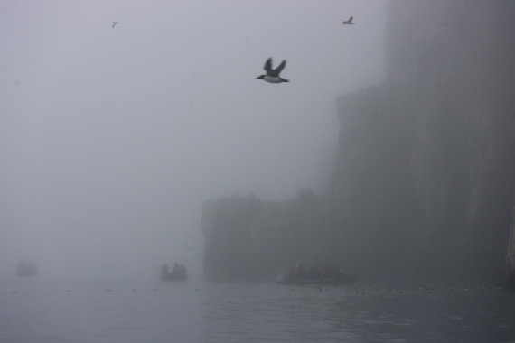 HDS07-24, Day 6, IMG_3532 © Unknown photographer - Oceanwide Expeditions.JPG