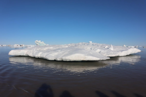 HDS07-24, Day 6, IMG_3654 © Unknown photographer - Oceanwide Expeditions.JPG
