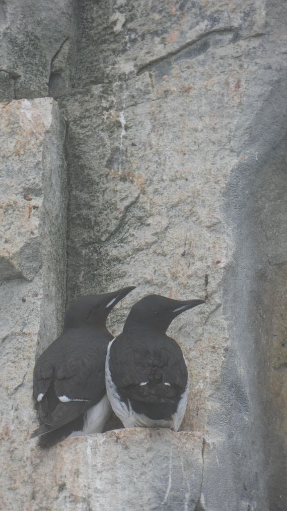 HDS07-24, Day 6, P1060184 © Unknown photographer - Oceanwide Expeditions.JPG