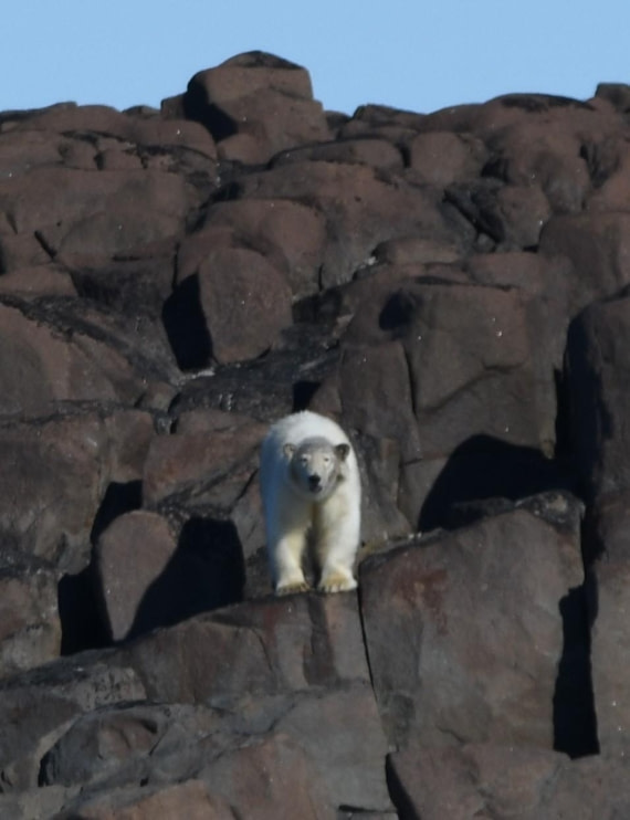 HDS07-24, Day 6, PB14 © Jens Binderup - Oceanwide Expeditions.JPG