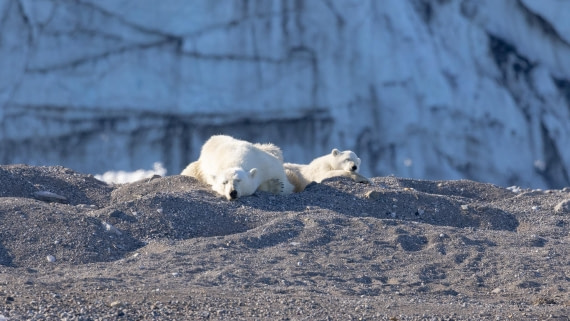 HDS07-24, Day 7, 4Q9A3421 © Katlyn Taylor - Oceanwide Expeditions.jpeg