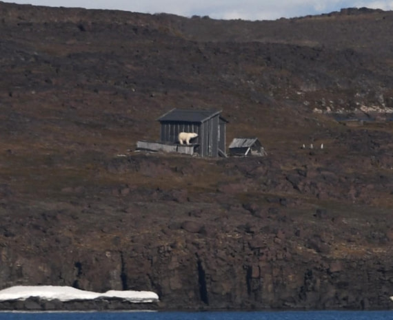 HDS07-24, Day 7, PB hutsniffing © Unknown photographer - Oceanwide Expeditions.JPG