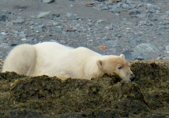 Today is my lazy day