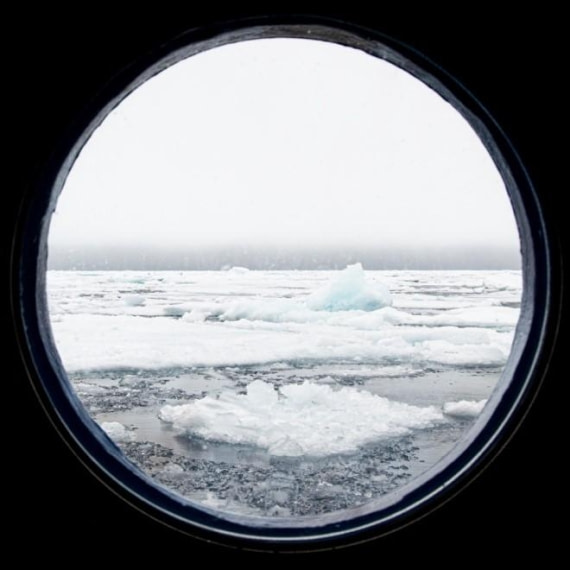 PLA07-24, Day 4,   Picture7 © Unknown photographer - Oceanwide Expeditions.jpg