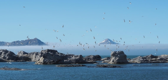 Great Light, Great Life