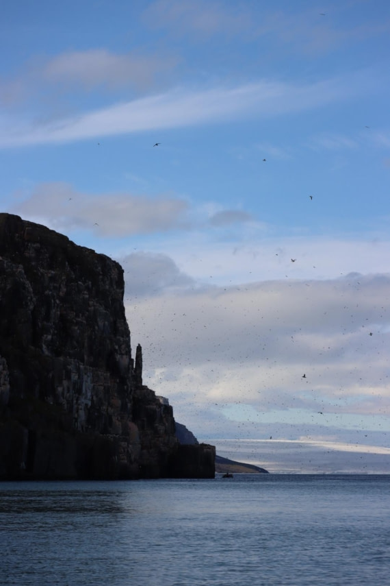 HDS08-24, IMG_3834 © Daan Vreugdenhil - Oceanwide Expeditions.JPG