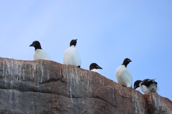 HDS08-24, IMG_3839 © Daan Vreugdenhil - Oceanwide Expeditions.JPG