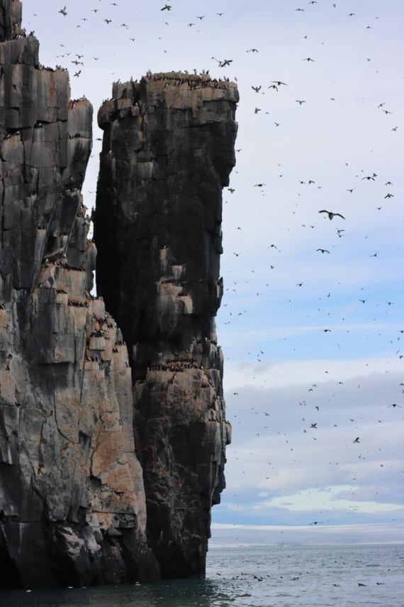 HDS08-24, IMG_3865 © Daan Vreugdenhil - Oceanwide Expeditions.JPG