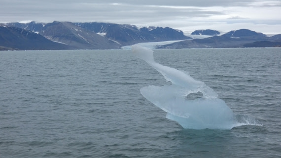 HDS08-24, Day 2, P1070116 © Unknown photographer - Oceanwide Expeditions.JPG