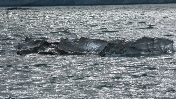 HDS08-24, Day 3, P1070143 © Unknown photographer - Oceanwide Expeditions.JPG