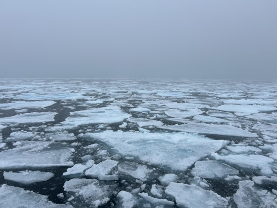 HDS08-24, Day 4, IMG_3054 © Unknown photographer - Oceanwide Expeditions.jpeg