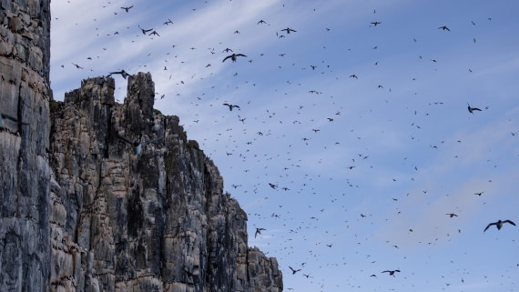 HDS08-24, Day 5, 4Q9A4857 © Katlyn Taylor - Oceanwide Expeditions.jpeg