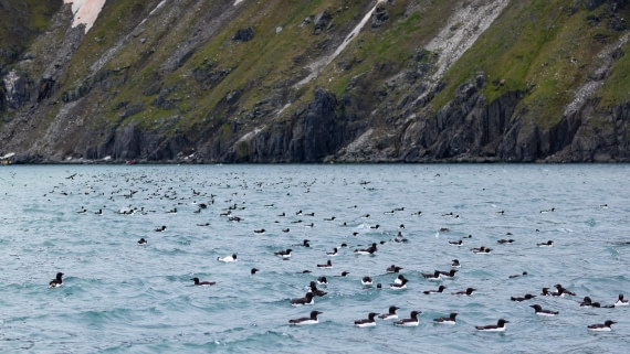 HDS08-24, Day 5, 4Q9A4936 © Katlyn Taylor - Oceanwide Expeditions.jpeg