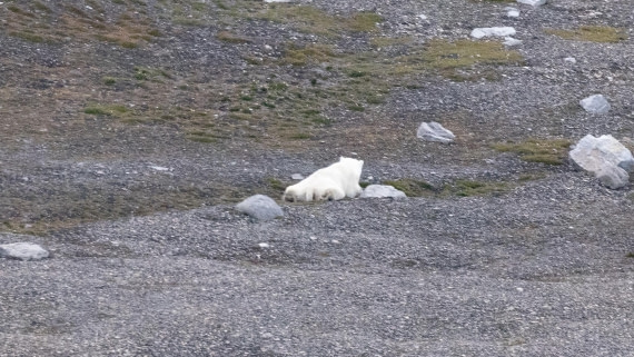 HDS08-24, Day 5, 4Q9A5029 © Katlyn Taylor - Oceanwide Expeditions.jpeg