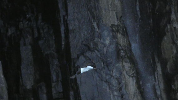 HDS08-24, Day 5, P1070311 © Unknown photographer - Oceanwide Expeditions.JPG