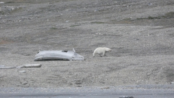 HDS08-24, Day 5, P1070456 © Unknown photographer - Oceanwide Expeditions.JPG