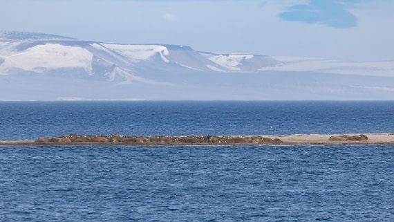 HDS08-24, Day 6, 4Q9A5041 © Katlyn Taylor - Oceanwide Expeditions.jpeg