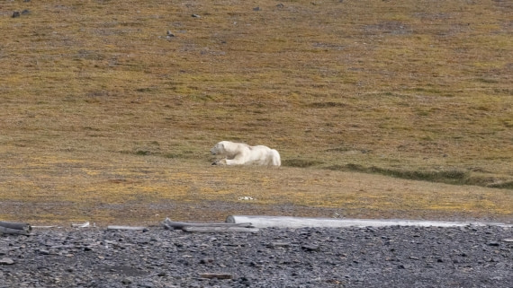 HDS08-24, Day 7, 4Q9A5072 © Katlyn Taylor - Oceanwide Expeditions.jpeg