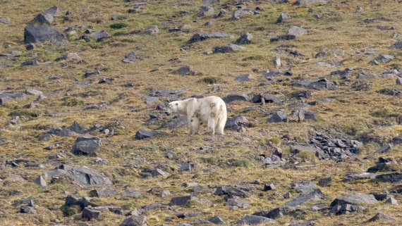 HDS08-24, Day 7, 4Q9A5082 © Katlyn Taylor - Oceanwide Expeditions.jpeg
