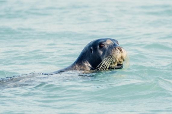 OTL08-24, Day 3,   2B5A1915 © Juan Martin Berenstein - Oceanwide Expeditions.jpg