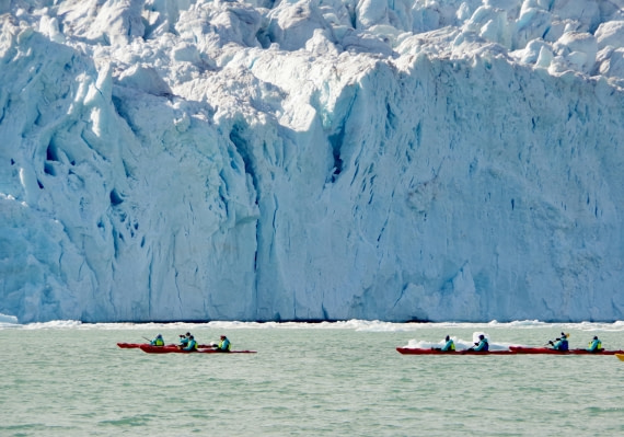 OTL08-24, Day 3, IMG_2329 © Unknown photographer - Oceanwide Expeditions.jpg