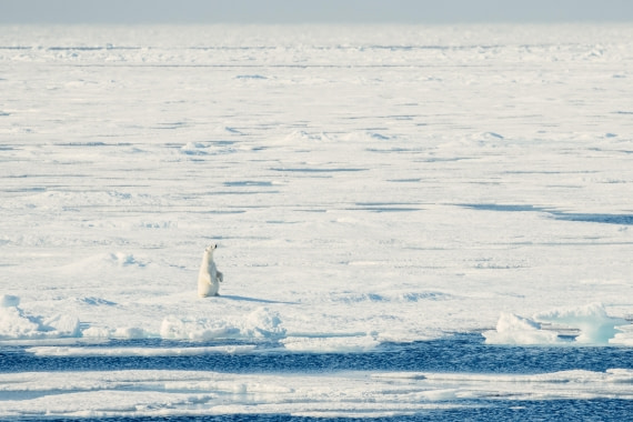 OTL08-24, Day 4,   2B5A1976 © Juan Martin Berenstein - Oceanwide Expeditions.jpg