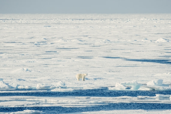 OTL08-24, Day 4,   2B5A1991 © Juan Martin Berenstein - Oceanwide Expeditions.jpg