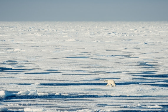 OTL08-24, Day 4,   2B5A2002 © Juan Martin Berenstein - Oceanwide Expeditions.jpg