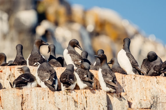 OTL08-24, Day 6,   2B5A2124 © Juan Martin Berenstein - Oceanwide Expeditions.jpg