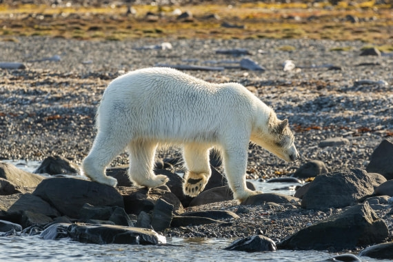 OTL08-24, Day 6,   2B5A2302 © Juan Martin Berenstein - Oceanwide Expeditions.jpg
