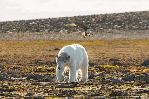 OTL08-24, Day 6,   2B5A2305 © Juan Martin Berenstein - Oceanwide Expeditions.jpg