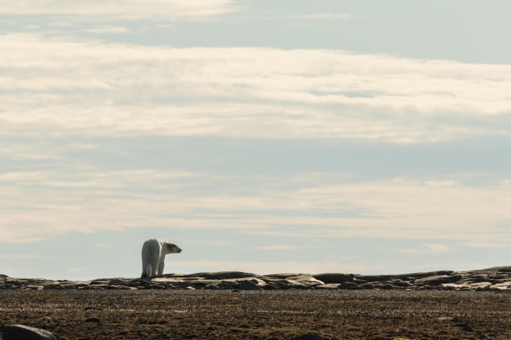 OTL08-24, Day 6,   2B5A2330 © Juan Martin Berenstein - Oceanwide Expeditions.jpg