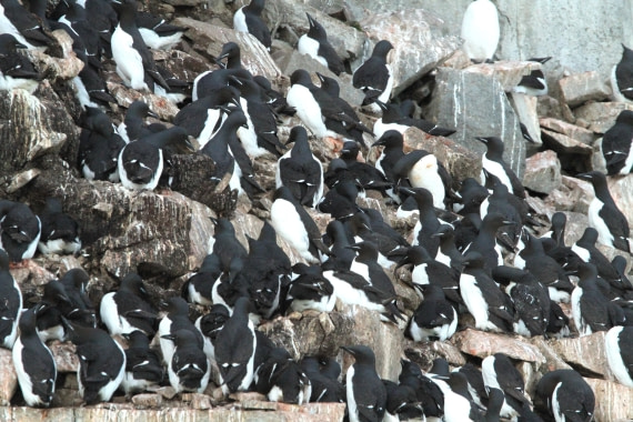 OTL08-24, Day 6, IMG_7209 © Simon Davies - Oceanwide Expeditions.JPG