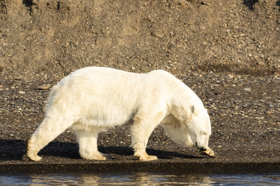 OTL08-24, Day 7,   2B5A2499 © Juan Martin Berenstein - Oceanwide Expeditions.jpg