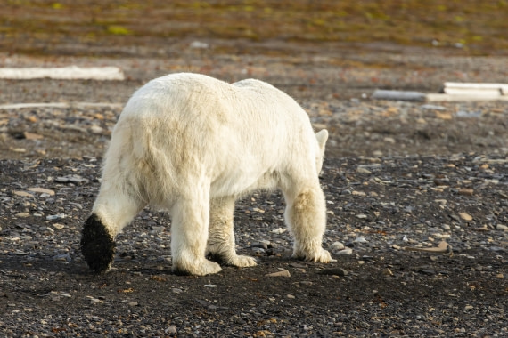 OTL08-24, Day 7,   2B5A2612 © Juan Martin Berenstein - Oceanwide Expeditions.jpg