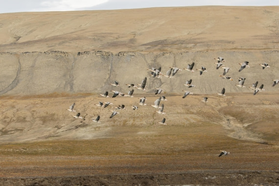 OTL08-24, Day 7,   2B5A2631 © Juan Martin Berenstein - Oceanwide Expeditions.jpg